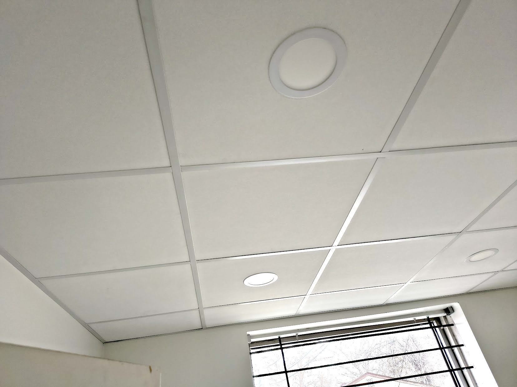 Acoustic Ceilings